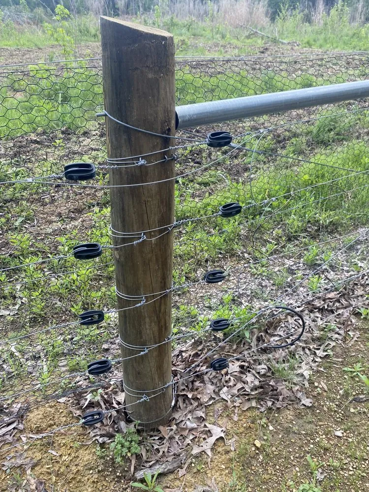 Professional yard maintenance in Stanfield, NC - 5Y Fencing