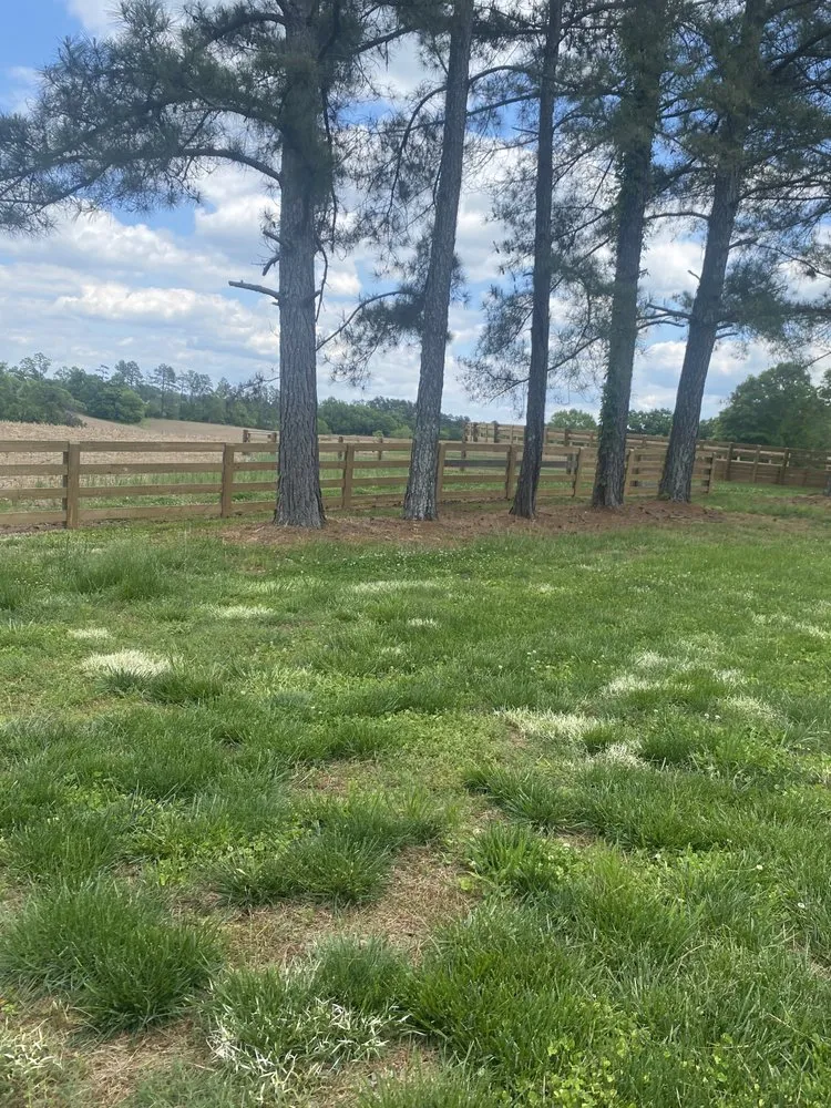 Local residential landscaping for beautiful yards across Stanfield, NC - 5Y Fencing