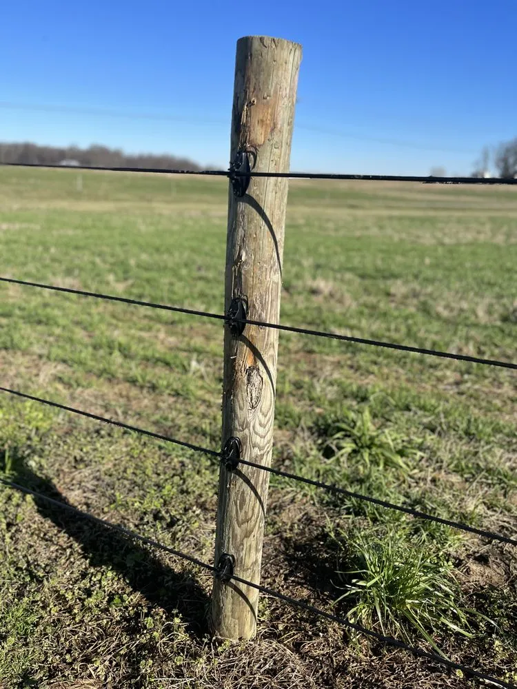 Trusted yard maintenance for beautiful yards in Stanfield, NC by 5Y Fencing