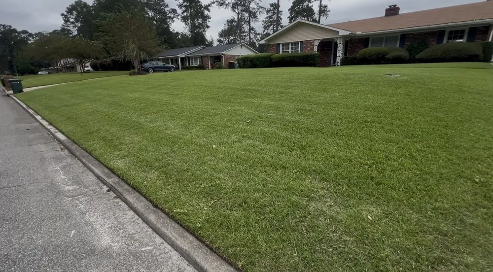 Top-rated yard cleanup service experts serving Hinesville, GA - 6 33 Landscaping