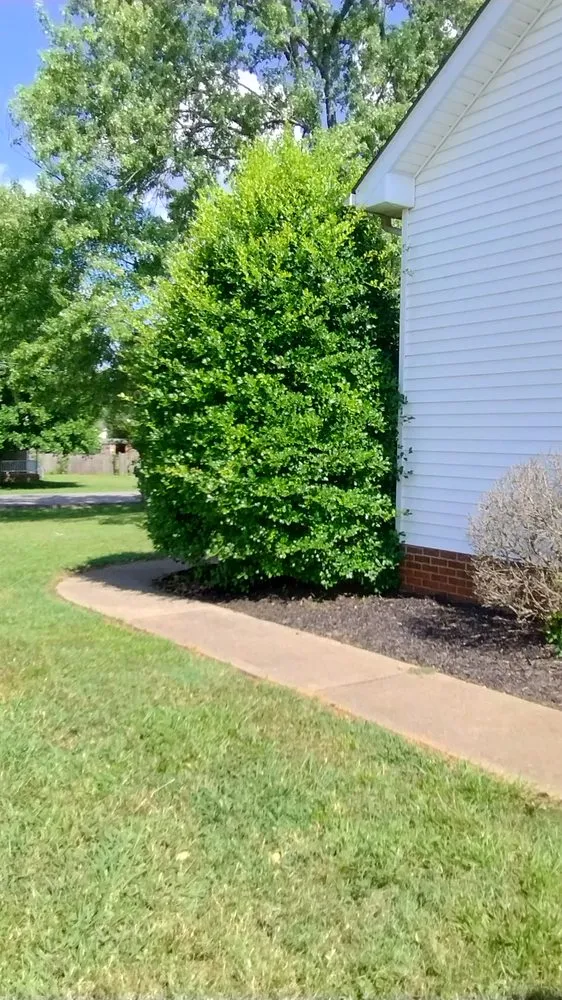 Custom yard maintenance in Nashville, TN - 6 Brother Landscaping
