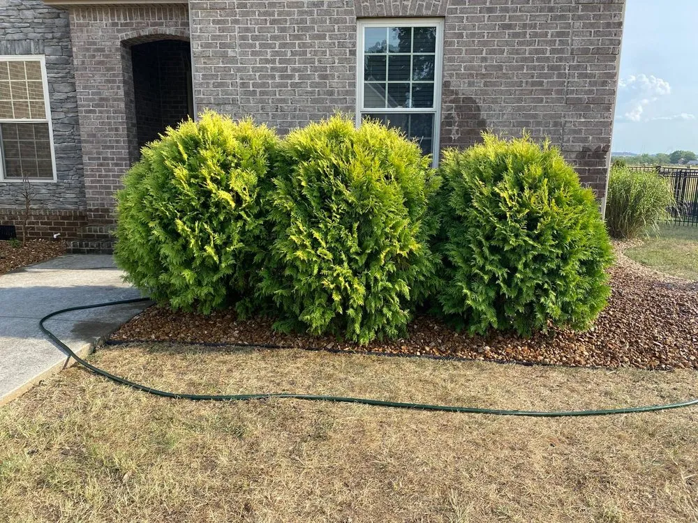 Local landscaping services in Nashville, TN by 6 Brother Landscaping
