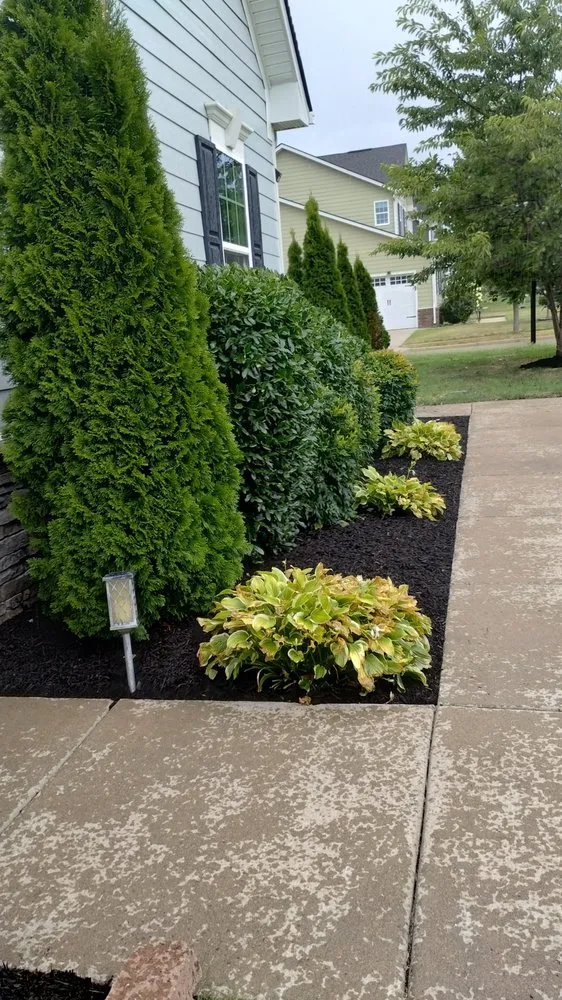 Custom outdoor landscaping experts serving Nashville, TN - 6 Brother Landscaping