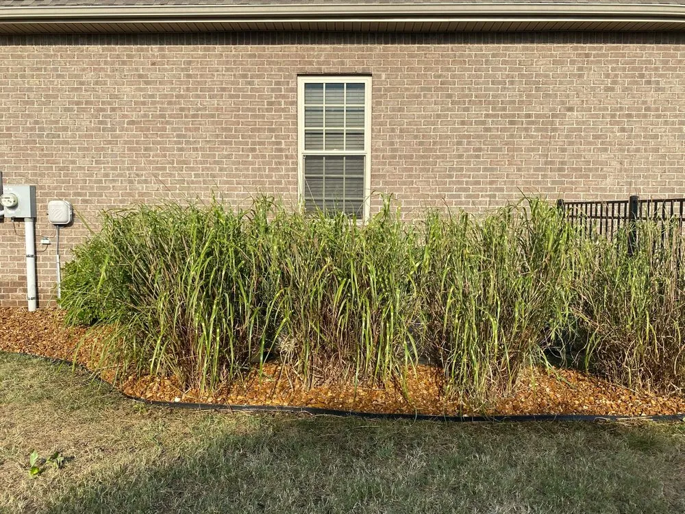 Local yard maintenance in Nashville, TN by 6 Brother Landscaping