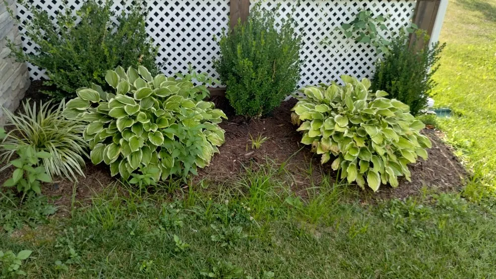 Affordable residential landscaping experts serving Nashville, TN - 6 Brother Landscaping