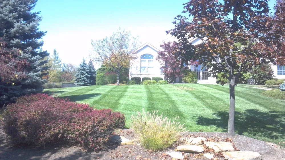 Expert lawn mowing service experts serving West Chester, OH - 6 Reasons Lawn Care