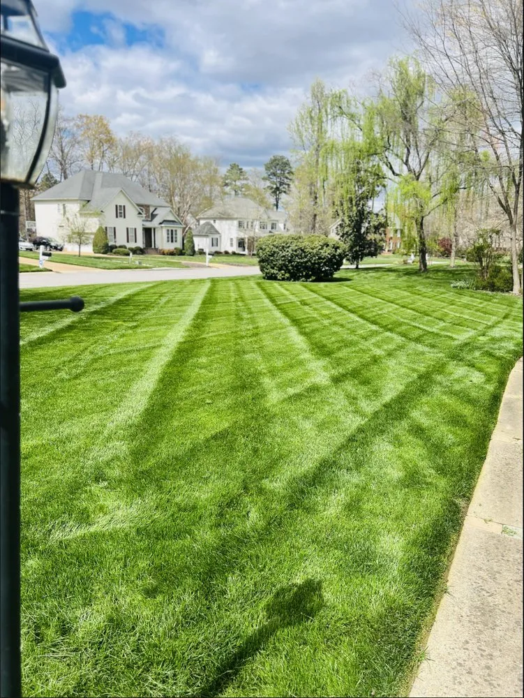 Custom landscape installation near you across Midlothian, VA - 60 West Landscaping