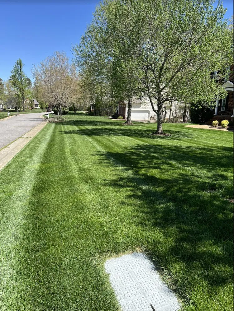 Top-rated yard cleanup service in Midlothian, VA - 60 West Landscaping