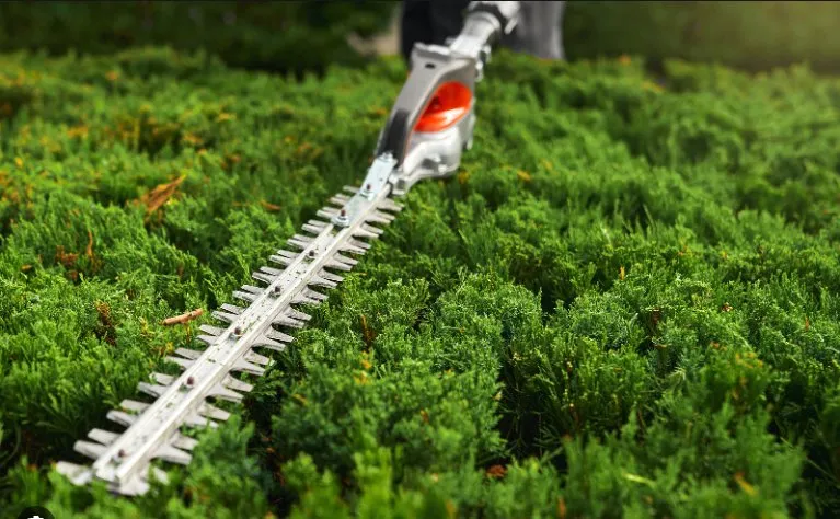 Professional outdoor landscaping experts serving Midlothian, VA - 60 West Landscaping