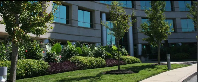 Top-rated landscape design in Midlothian, VA by 60 West Landscaping