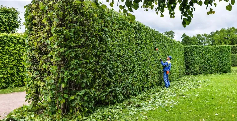 Trusted outdoor landscaping experts serving Midlothian, VA - 60 West Landscaping