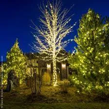 Professional landscape design in Chicago, IL - 606 Land & Snow