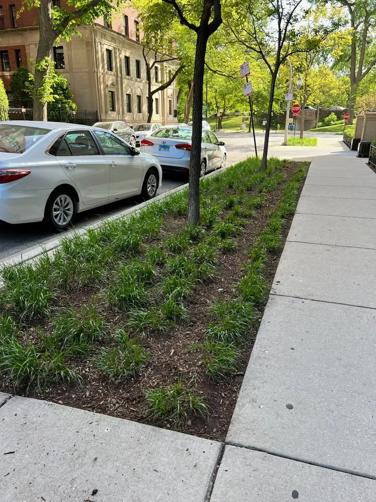 Affordable landscaping services experts serving Chicago, IL - 606 Land & Snow
