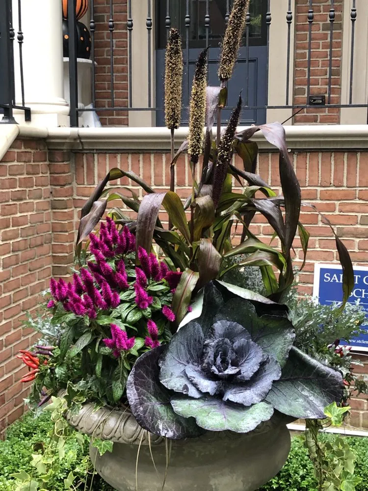 Reliable lawn mowing service in Chicago, IL by 606 Outdoor Design