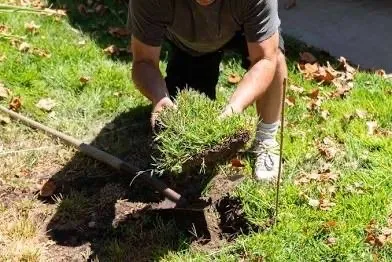 Top-rated residential landscaping experts serving Friendship, WI - 608-Rons lawncare & landscape