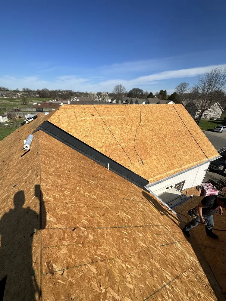 Local yard cleanup service near you in Brentwood, TN by 615 EVERYTHING