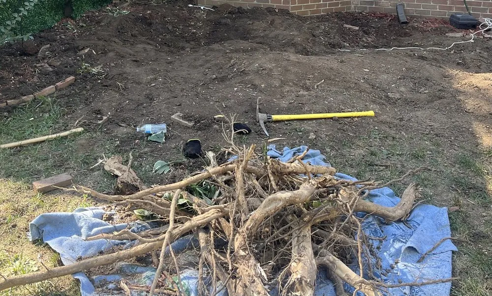 Professional landscaping services for residential properties in Brentwood, TN by 615 EVERYTHING