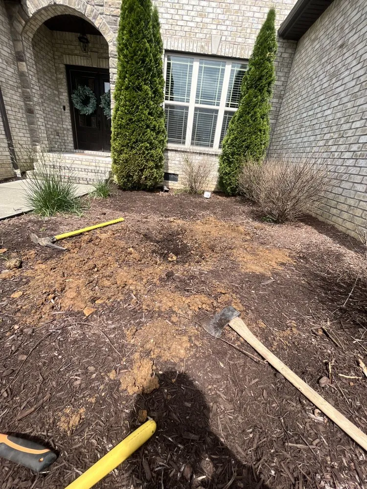 Reliable lawn care service for beautiful yards across Brentwood, TN - 615 EVERYTHING