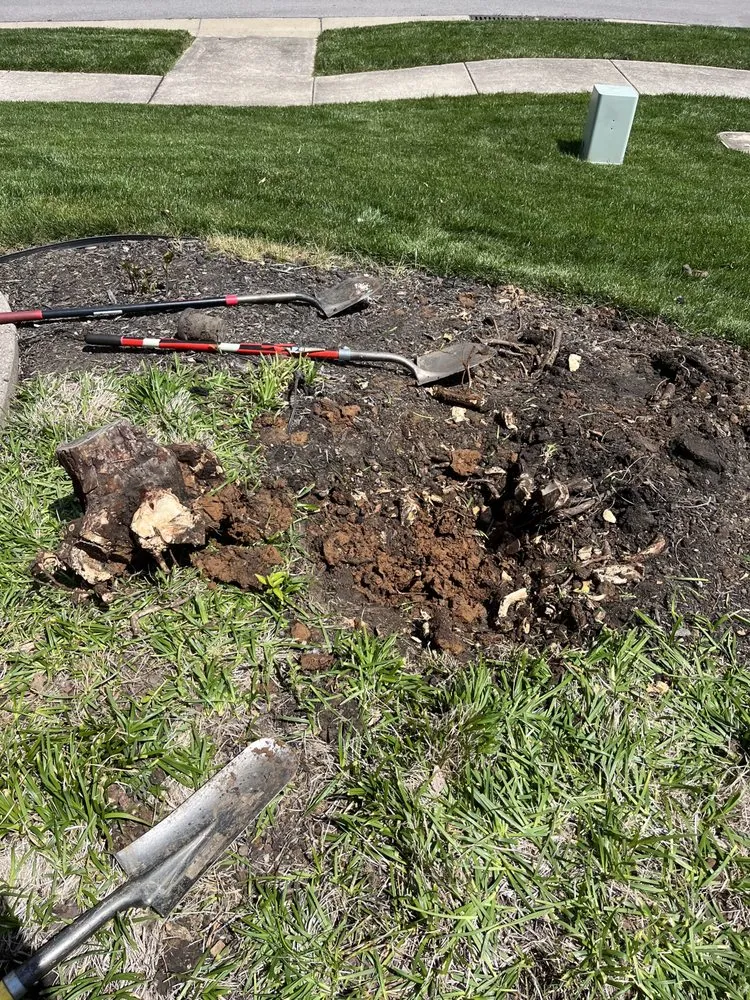 Trusted landscape installation experts serving Brentwood, TN - 615 EVERYTHING