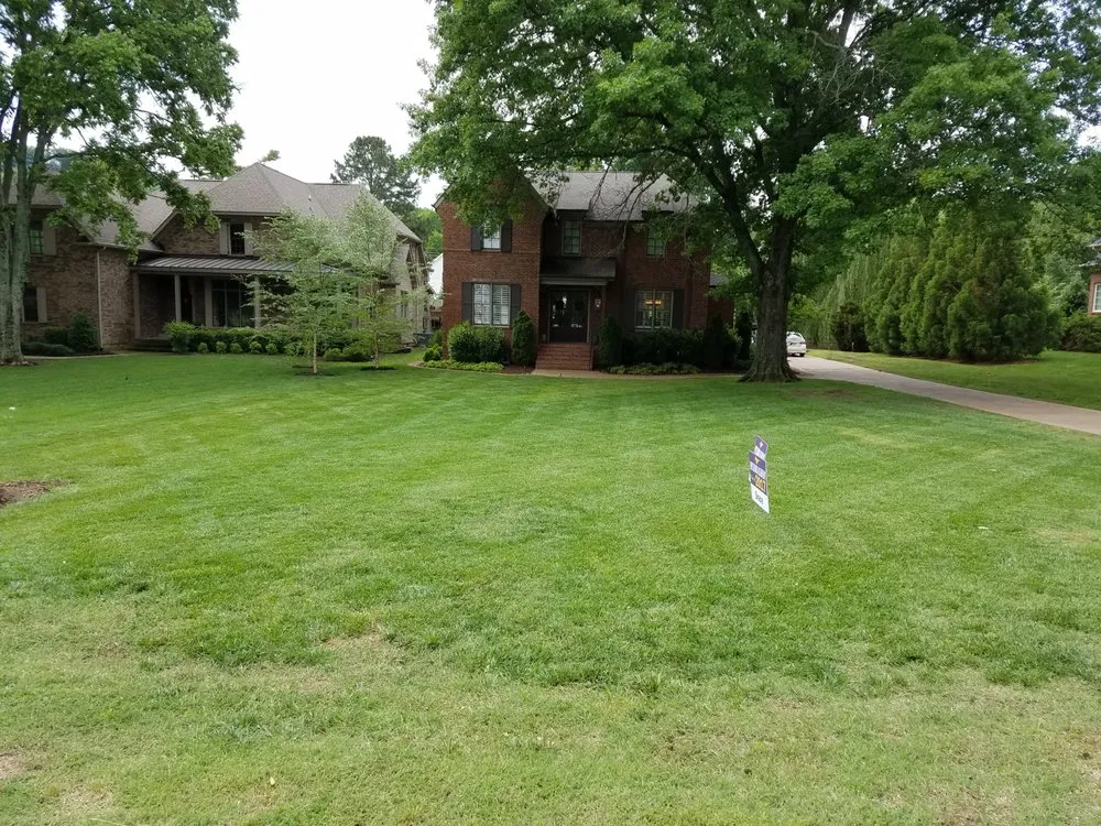 Expert lawn care service for year-round maintenance in Burns, TN by 615 Lawn Care