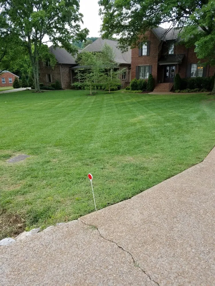 Affordable yard cleanup service in Burns, TN - 615 Lawn Care