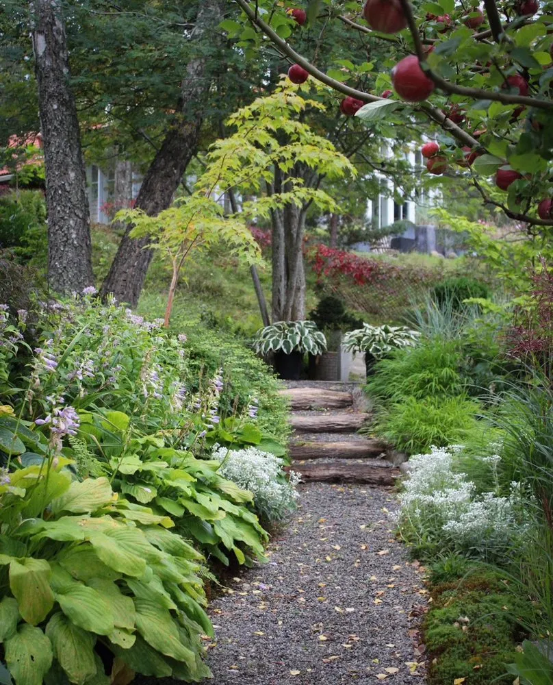 Reliable garden landscaping in San Mateo, CA - 650 Gardeners