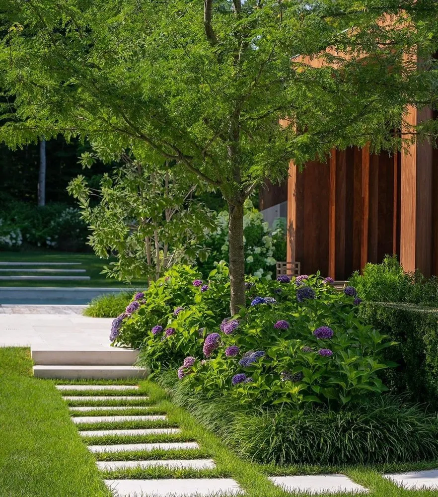 Professional garden landscaping in San Mateo, CA by 650 Gardeners