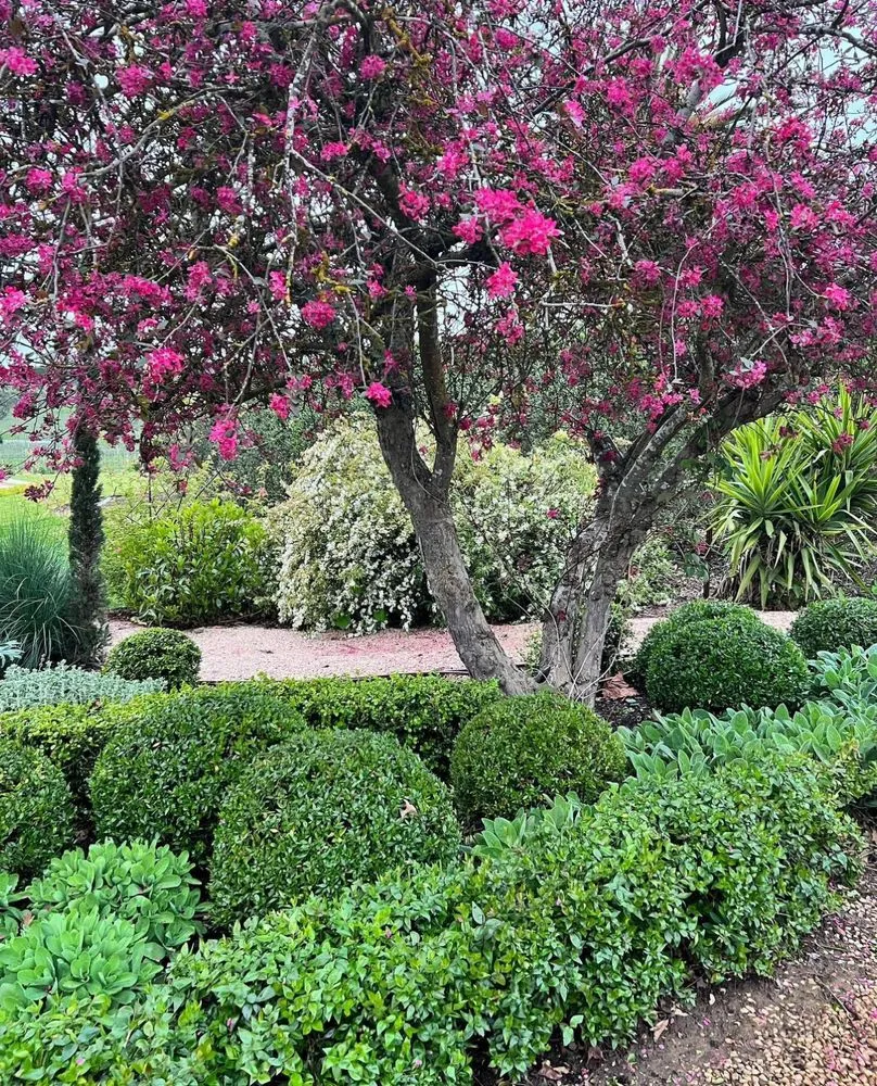 Professional landscape installation for outdoor upgrades across San Mateo, CA - 650 Gardeners