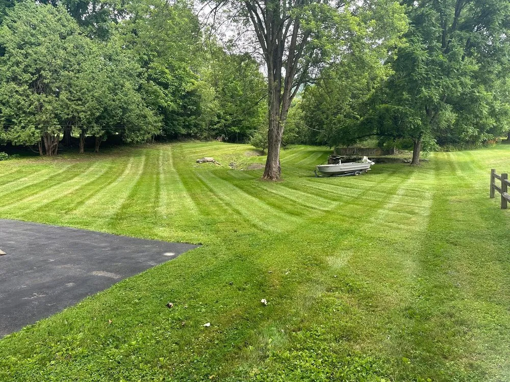 Expert yard cleanup service experts serving Wallkill, NY - 66 Landscaping