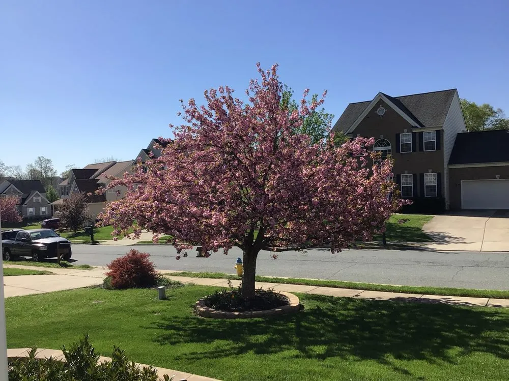 Reliable residential landscaping experts serving Woodbridge, VA - 66 Landscaping