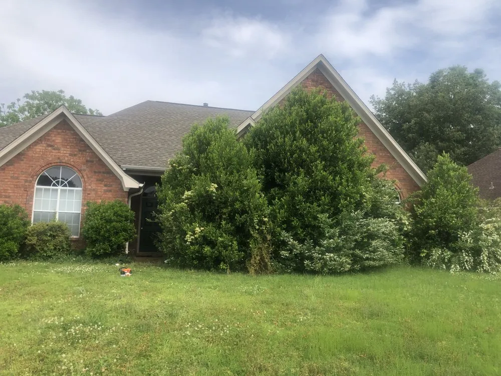 Local yard cleanup service for residential properties across Hernando, MS - 662 Grass Monkey