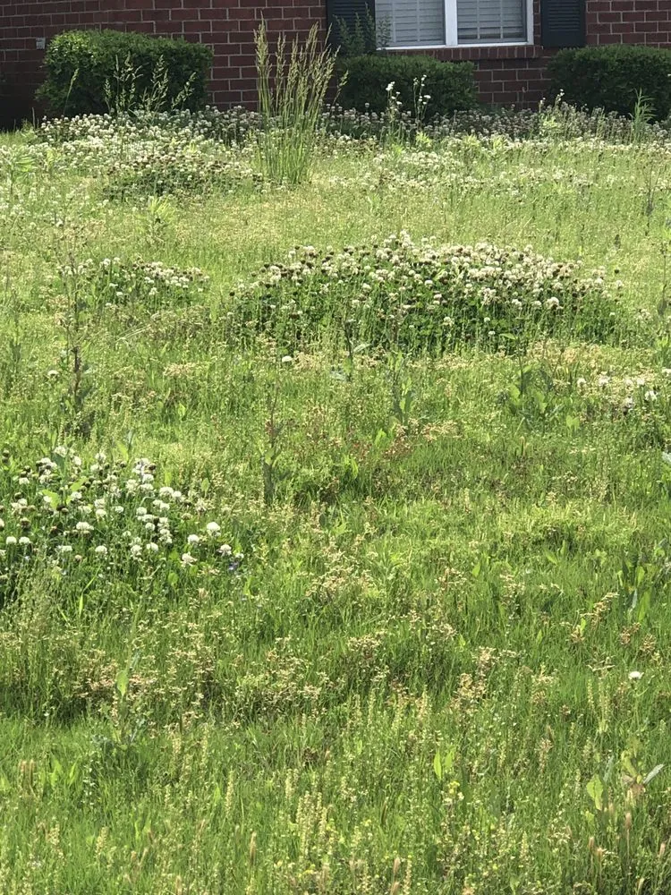 Trusted landscape design with custom design in Hernando, MS by 662 Grass Monkey