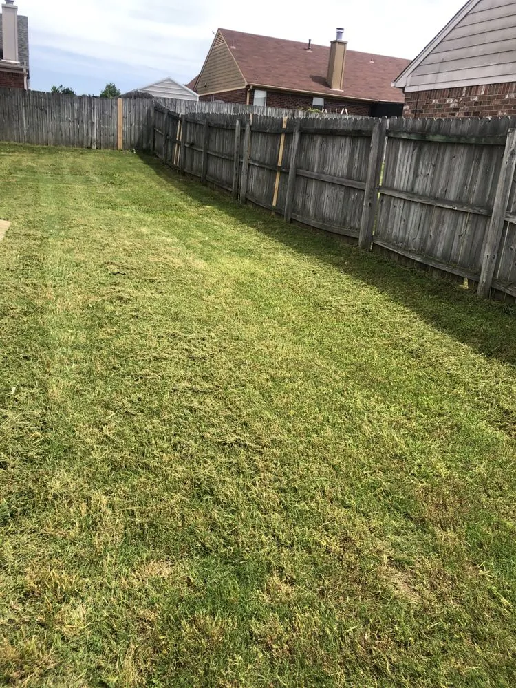 Top-rated garden landscaping with custom design across Hernando, MS - 662 Grass Monkey