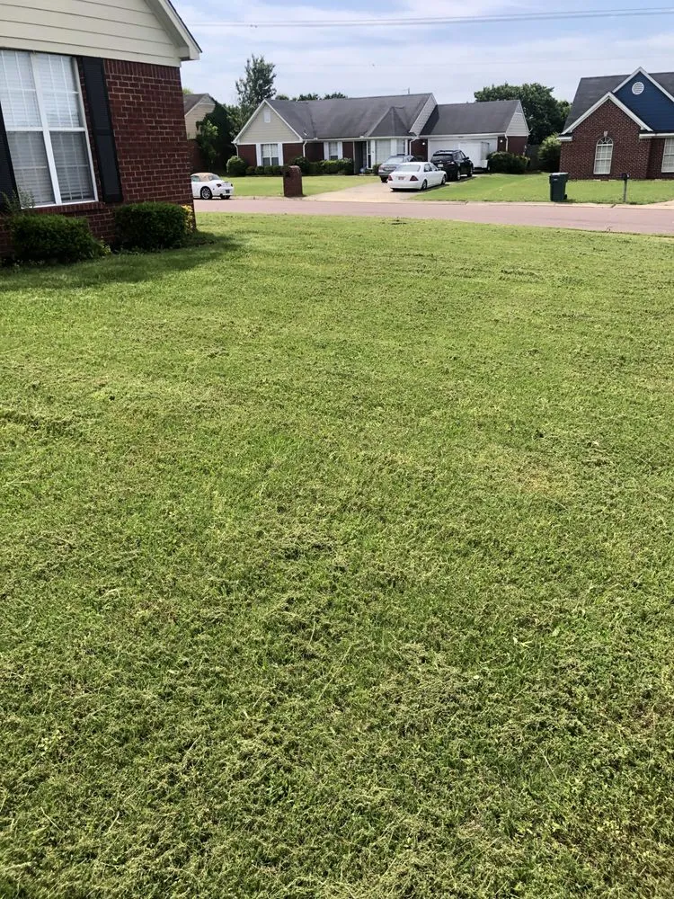 Expert landscape installation for year-round maintenance across Hernando, MS - 662 Grass Monkey