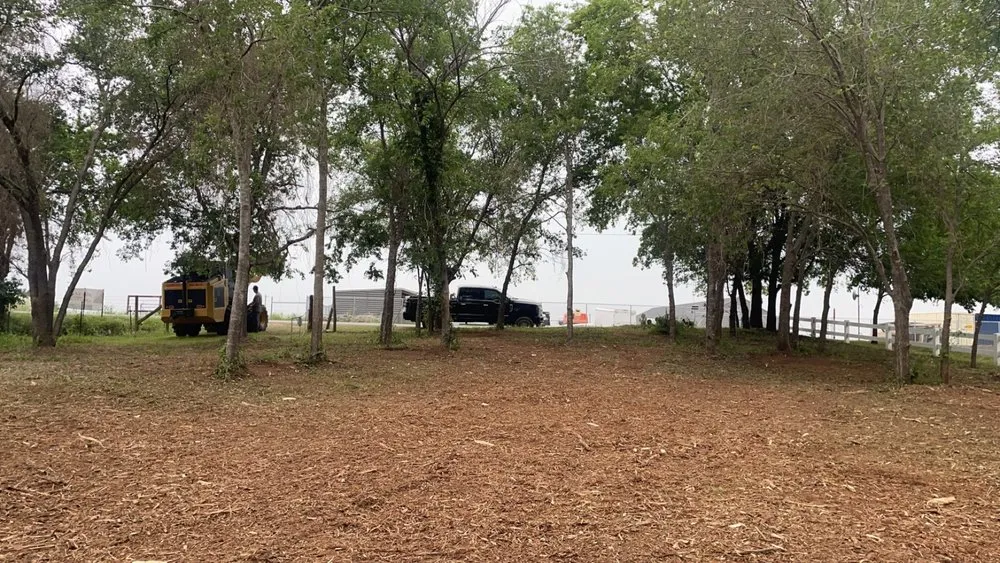 Professional lawn mowing service in Tolar, TX by 6J Forestry Mulching