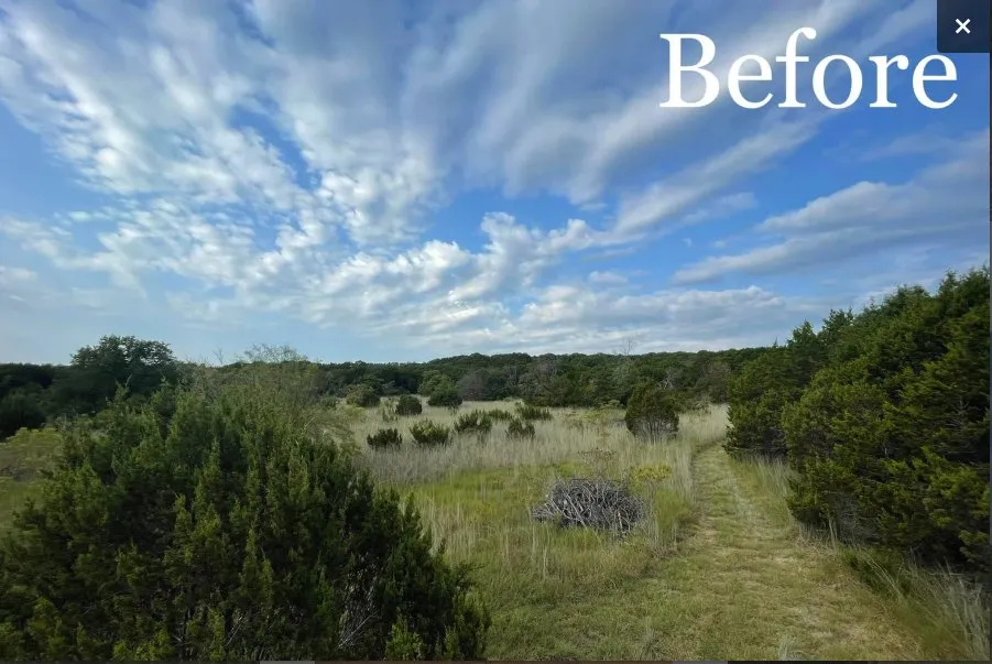 Custom lawn care service with custom design across Tolar, TX - 6J Forestry Mulching