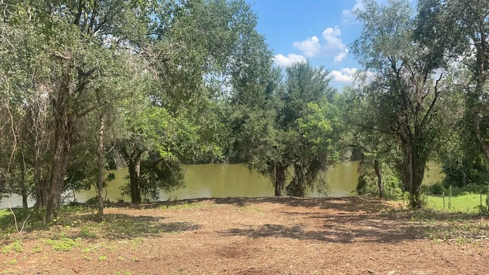 Affordable lawn mowing service experts serving Tolar, TX - 6J Forestry Mulching