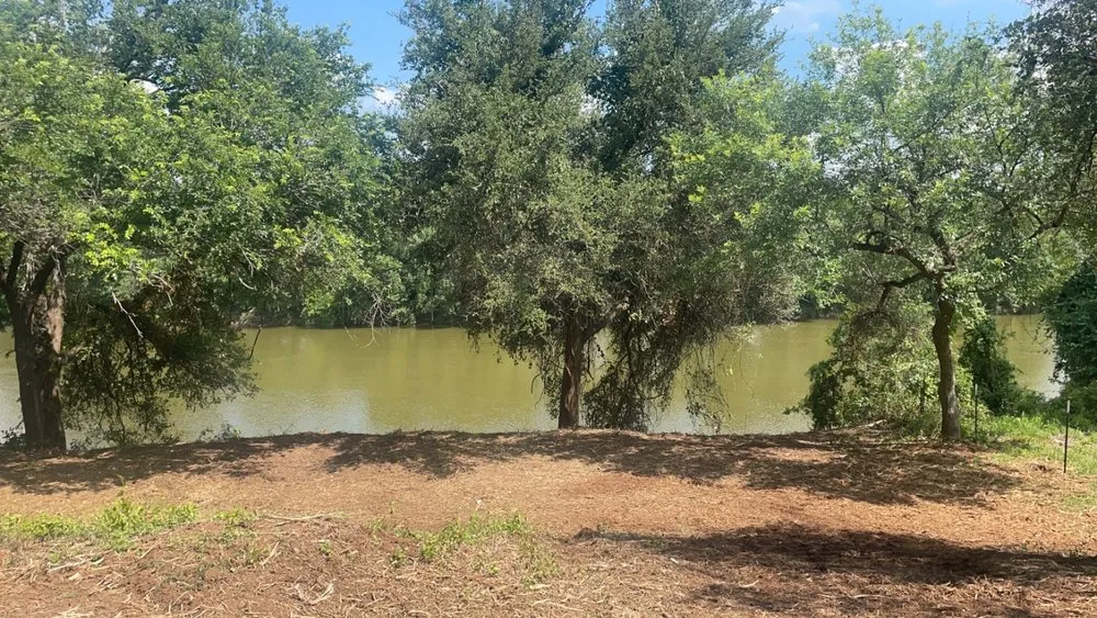 Local yard maintenance in Tolar, TX by 6J Forestry Mulching