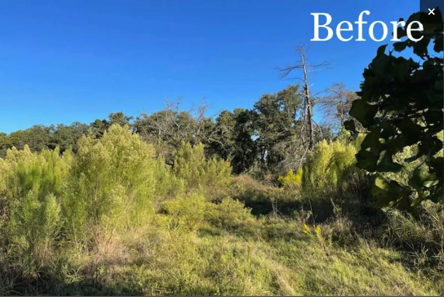 Custom yard cleanup service for year-round maintenance across Tolar, TX - 6J Forestry Mulching