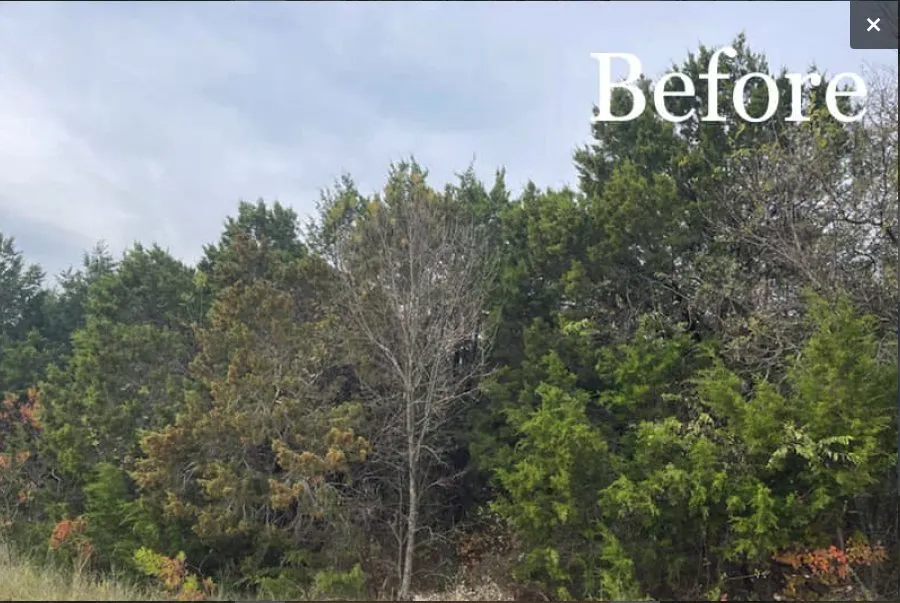 Custom yard maintenance for homes in Tolar, TX by 6J Forestry Mulching
