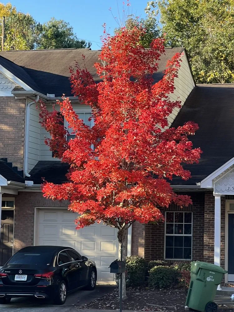 Top-rated garden landscaping in Roswell, GA by 7 Brothers Tree Service and Lawn