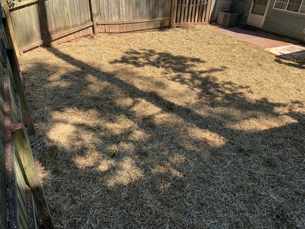 Local lawn mowing service near you in Roswell, GA by 7 Brothers Tree Service and Lawn