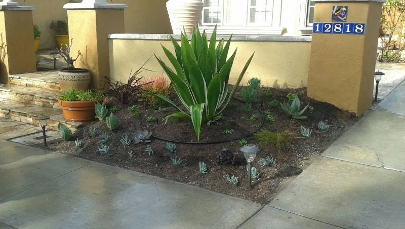 Reliable lawn mowing service in Rancho Santa Fe, CA by 7 Days Green Landscape