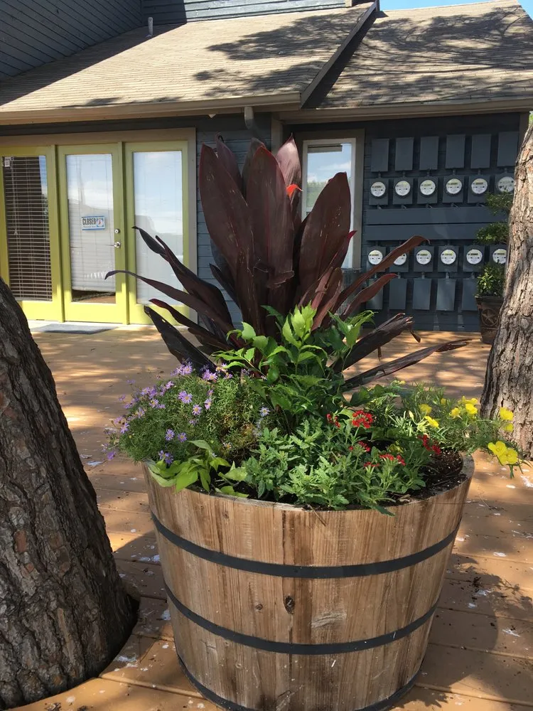 Expert garden landscaping in Austin, TX - 7 Kings Landscaping Services