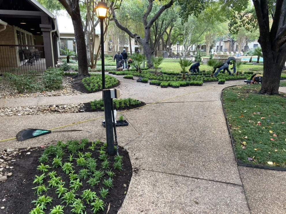 Expert landscape installation experts serving Austin, TX - 7 Kings Landscaping Services
