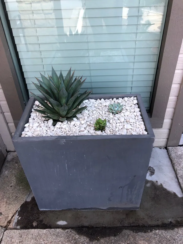 Custom landscaping services experts serving Austin, TX - 7 Kings Landscaping Services