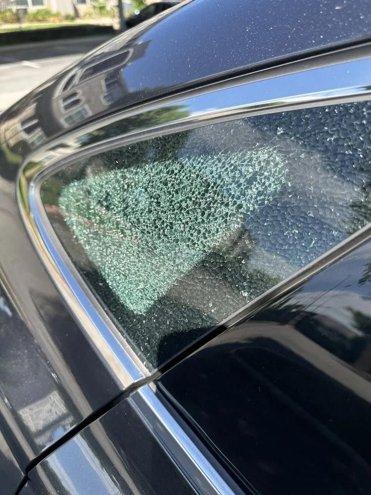 Expert yard cleanup service for homes across Austin, TX - 7 Kings Landscaping Services