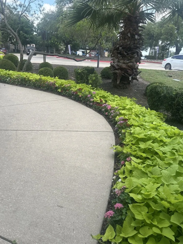 Trusted residential landscaping for outdoor upgrades across Austin, TX - 7 Kings Landscaping Services