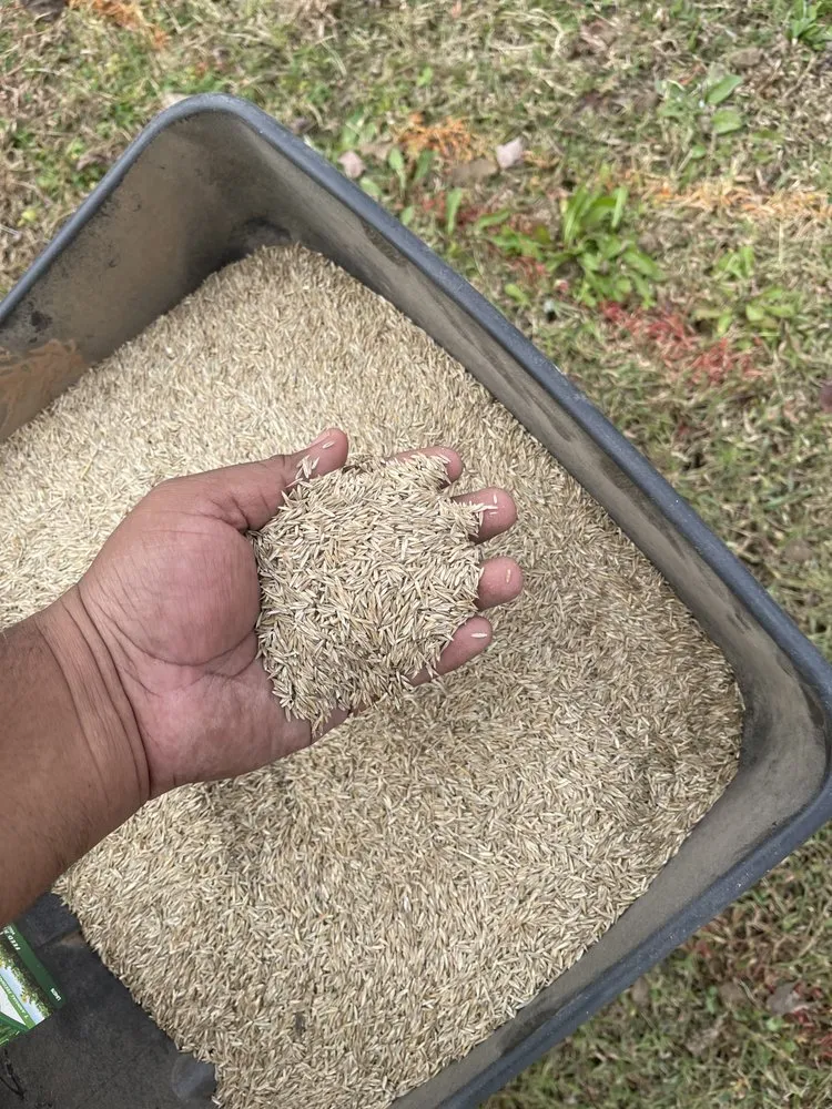 Custom lawn mowing service experts serving Garner, NC - 7 Tree Landscaping