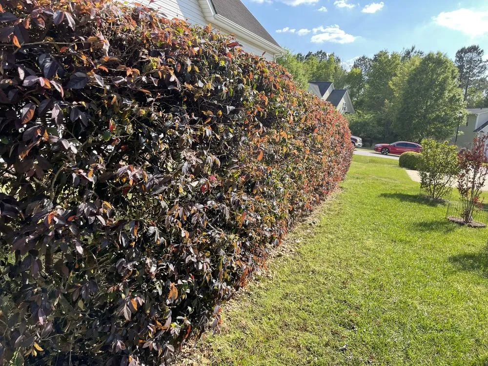 Affordable residential landscaping in Garner, NC by 7 Tree Landscaping